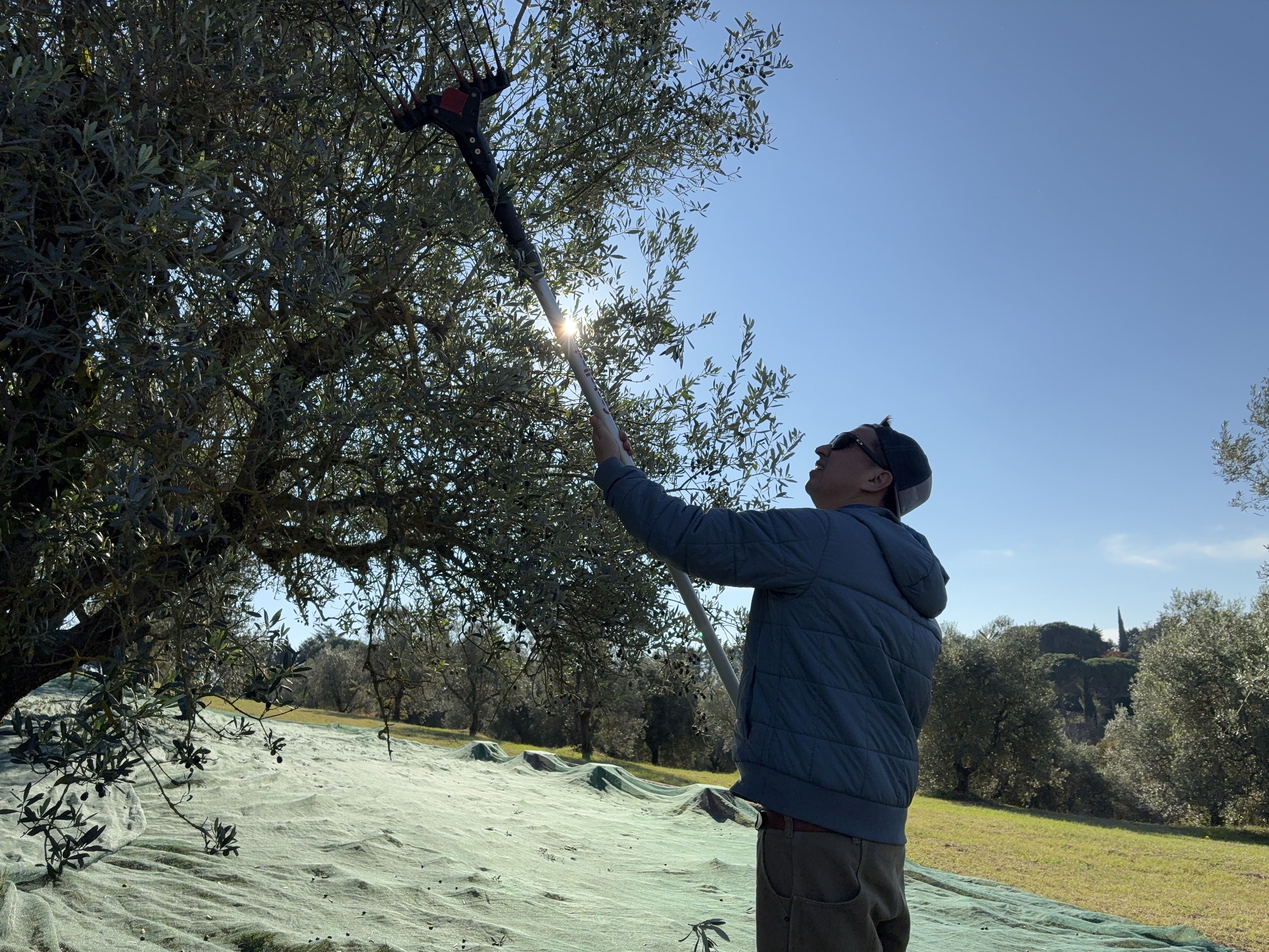 Experience the Unique Taste of Umbria’s Olio Nuovo