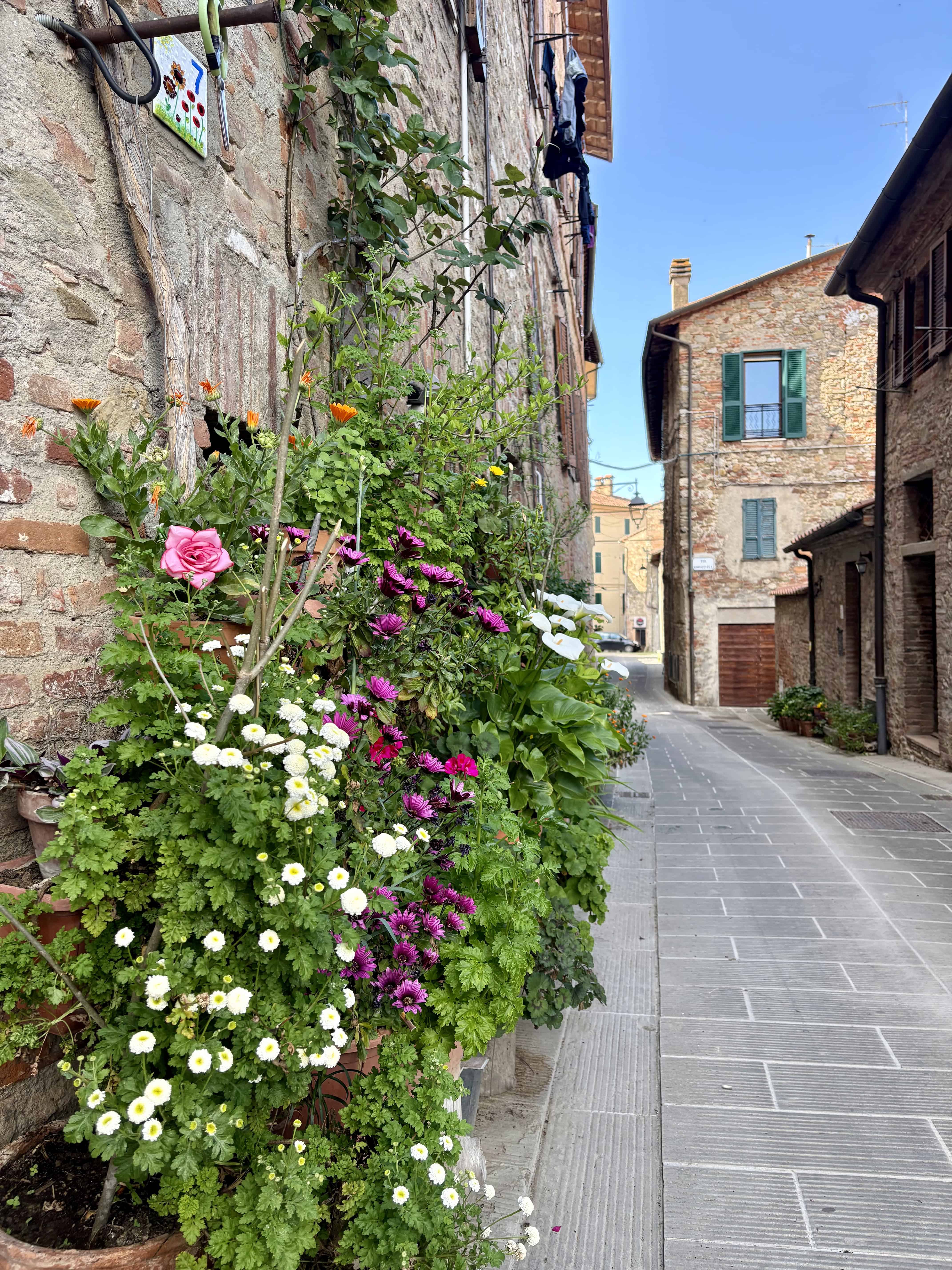 What Makes Italian Olive Oil Different?